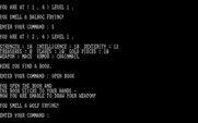 Wizard's Castle, The for IBM PC/Compatibles - Unlucky enough to find a sticky book.