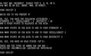Wizard's Castle, The for IBM PC/Compatibles - Allocating points.