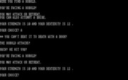 Wizard's Castle, The for IBM PC/Compatibles - Being attacked!