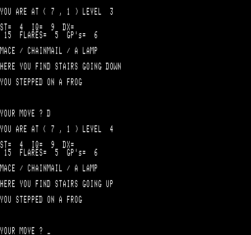Wizard's Castle, The Exidy Sorcerer Screenshot: Oops, I stepped on a frog.