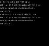 Wizard's Castle, The for Exidy Sorcerer - Purchase some armor?