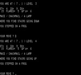 Wizard's Castle, The for Exidy Sorcerer - Oops, I stepped on a frog.