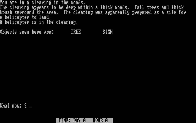 Survival Adventure IBM PC/Compatibles Screenshot: Starting location.