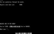 Survival Adventure for IBM PC/Compatibles - Wolves are in the area, and I'm tired, hungry, and very thirsty!
