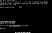 Survival Adventure for IBM PC/Compatibles - Now a storm is approaching...
