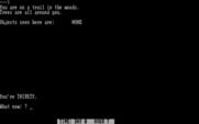 Survival Adventure for IBM PC/Compatibles - Lost in the woods...