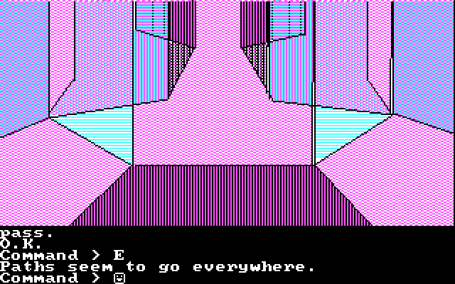 Tracer Sanction, The IBM PC/Compatibles Screenshot: It can be easy to get lost here.