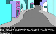 Tracer Sanction, The for IBM PC/Compatibles - Exploring a town.