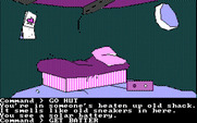 Tracer Sanction, The for IBM PC/Compatibles - Is there anything interesting to take in the hut?