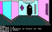 Tracer Sanction, The for IBM PC/Compatibles - You can visit the jewel store to sell some stuff...