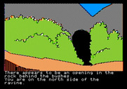 Tracer Sanction, The for Apple II - The north side of a ravine...