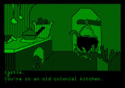 Tracer Sanction, The for Apple II - An old, colonial kitchen...anything here? Looks like a dead end...