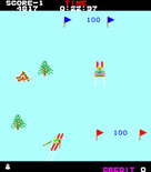 Alpine Ski for Arcade - This level offers lots of bonus points...if you can ski well!