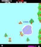 Alpine Ski for Arcade - If you can ski between that rock and tree it's worth 1000 bonus points...