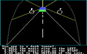 Troll's Tale for IBM PC/Compatibles - A long tunnel...walk towards the light?