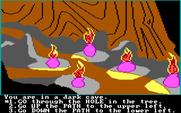 Troll's Tale for IBM PC/Compatibles - I've encountered a dark cave...