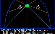 Troll's Tale for IBM PC/Compatibles - Does anything happen if I pull the magic ring?