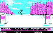 Winter Games for IBM PC/Compatibles - Attempt to shoot the targets...