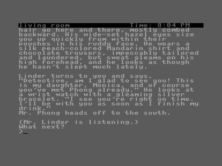 Witness, The Commodore 16 & Plus/4 Screenshot: What next?