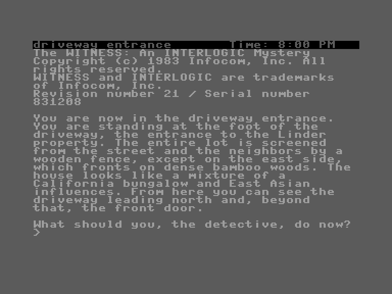 Witness, The Commodore 16 & Plus/4 Screenshot: Game start.
