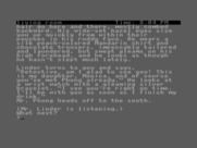 Witness, The for Commodore 16 & Plus/4 - What next?