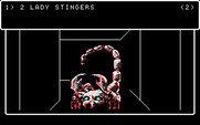 Wizardry V: Heart of the Maelstrom for IBM PC/Compatibles - Lady Stingers appear; fight, or run?