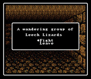 Wizardry V: Heart of the Maelstrom for Super NES - Oh no, I encountered some Leech Lizards!