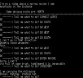 Ghost Town for Exidy Sorcerer - I can't get past, do I have anything in my inventory to help?