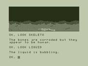 Trekboer for Dragon 32/64 - A skeleton, and a strange, bubbling liquid...