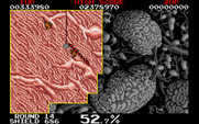 Volfied for IBM PC/Compatibles - Don't crash into opponents!