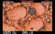 Volfied for IBM PC/Compatibles - Round 15 start.