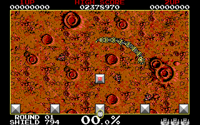 Volfied IBM PC/Compatibles Screenshot: Game start.