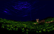 Obitus for Amiga - Introduction.