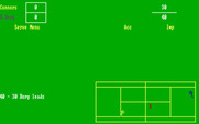 Break Point Pro Tennis for IBM PC/Compatibles - A failed serve.