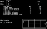 Break Point Pro Tennis for IBM PC/Compatibles - Select the next serve...