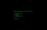Break Point Pro Tennis for IBM PC/Compatibles - You can choose some psyche modifiers.