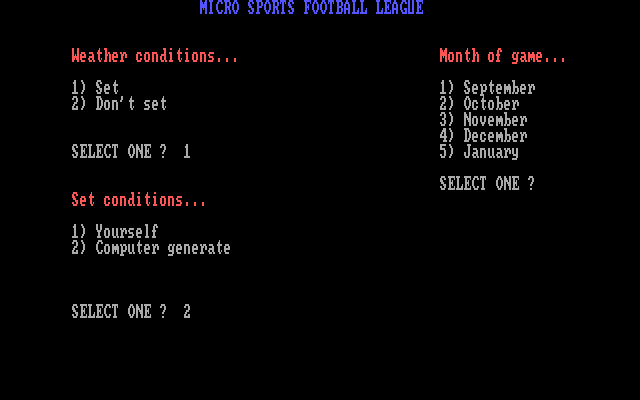 MSFL Pro League Football IBM PC/Compatibles Screenshot: You can also alter the weather...