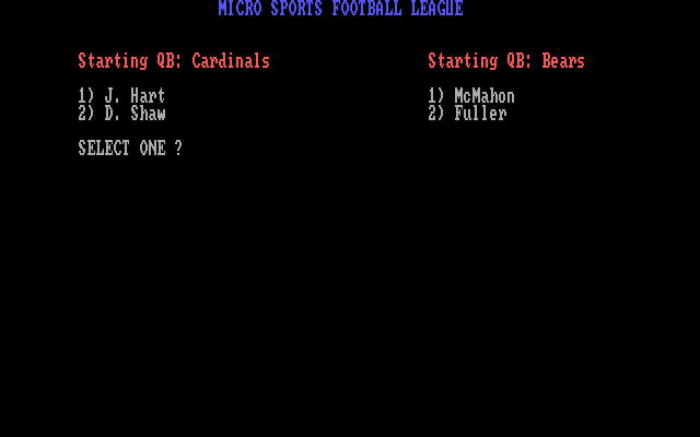 MSFL Pro League Football IBM PC/Compatibles Screenshot: Choose the starting quarterback...