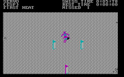 World Games for IBM PC/Compatibles - Ski through the gates!