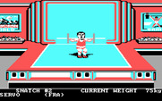 World Games for IBM PC/Compatibles - Attempting a lift...