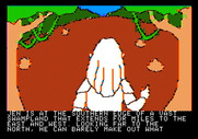 Hi-Res Adventure #6: The Dark Crystal for Apple II - How can I safely get past the swamp?