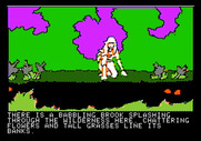 Hi-Res Adventure #6: The Dark Crystal for Apple II - A babbling brook.