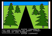Hi-Res Adventure #3: Cranston Manor for Apple II - Wandering into the forest...