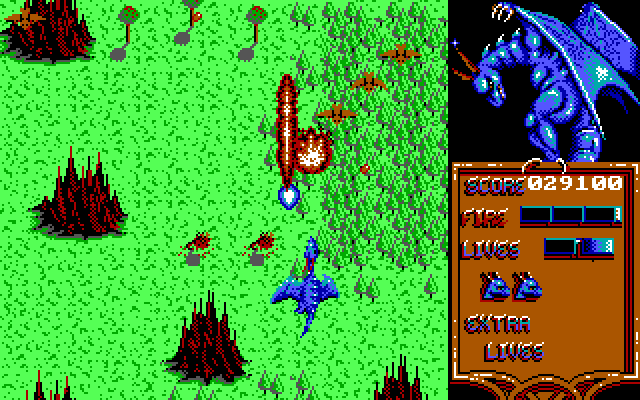 Dragon Spirit IBM PC/Compatibles Screenshot: On to the second level...