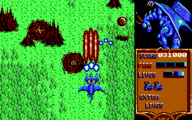 Dragon Spirit IBM PC/Compatibles Screenshot: My dragon now has three heads!