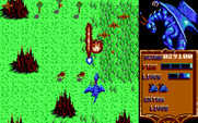 Dragon Spirit for IBM PC/Compatibles - On to the second level...