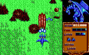 Dragon Spirit for IBM PC/Compatibles - My dragon now has three heads!