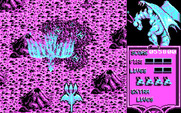 Dragon Spirit for IBM PC/Compatibles - A phoenix attacks!