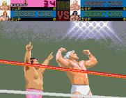 Main Event, The for Arcade - Here are the winners of the last match...