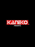 Sengeki Striker for Arcade - Kaneko logo...